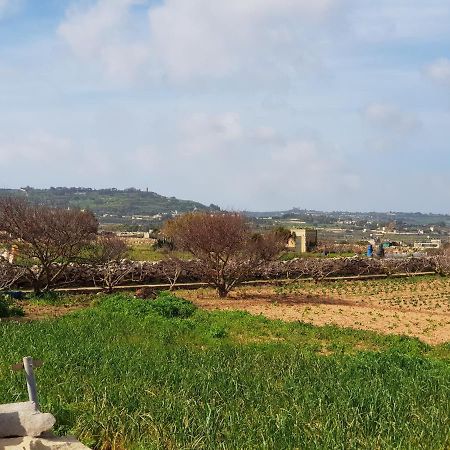 Auberge De Provence ξενώνας Siggiewi Εξωτερικό φωτογραφία